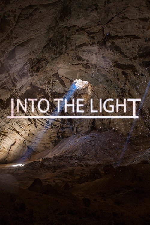Movie poster for Into The Light (2014)