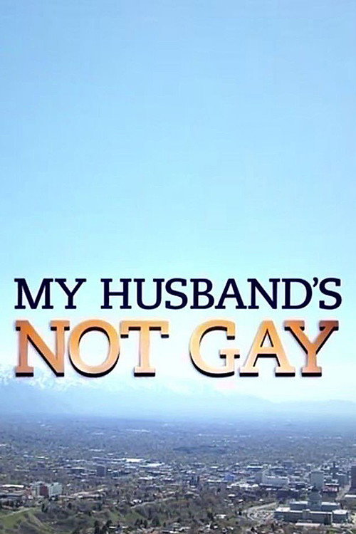 Movie poster for My Husband's Not Gay (2015)