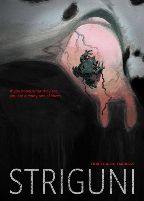 Movie poster for Striguni