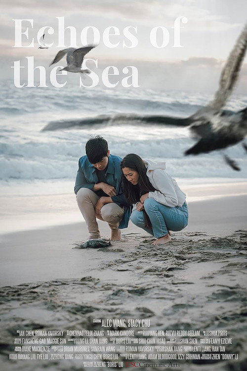 Movie poster for Echoes of the Sea