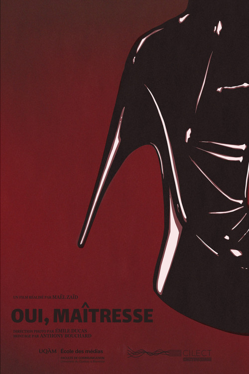 Movie poster for Yes, Mistress (2026)