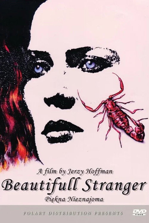 Movie poster for Beautiful Stranger (1993)