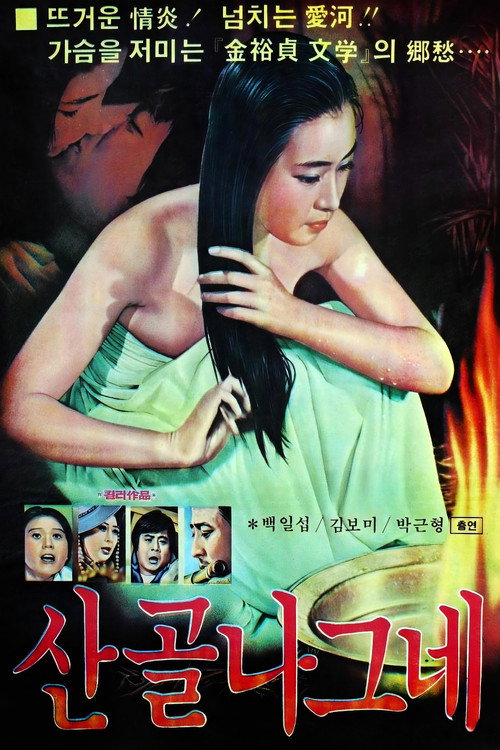 Movie poster for Wanderer (1978)