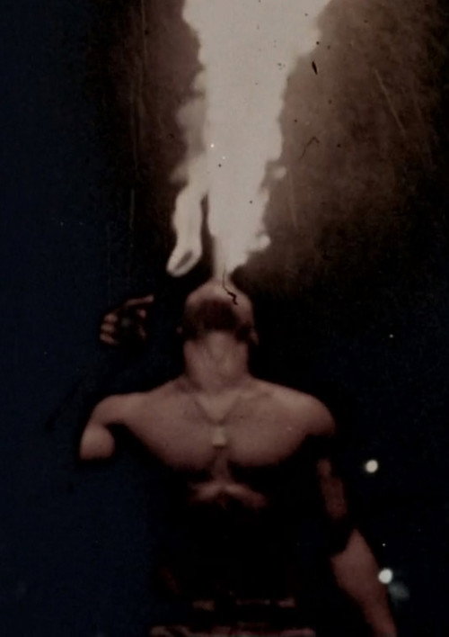 Movie poster for Galeria Alaska (1979)