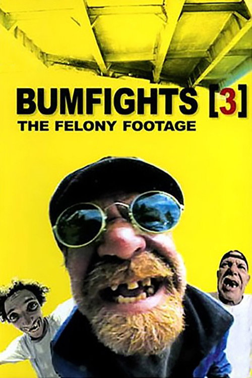 Movie poster for Bumfights Vol. 3: The Felony Footage (2004)