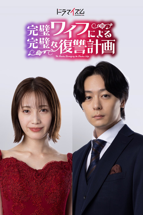 The Flawless Revenge by the Flawless Wife poster