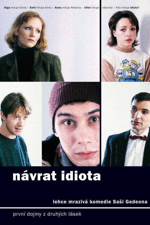 Movie poster for The Idiot Returns (1999)