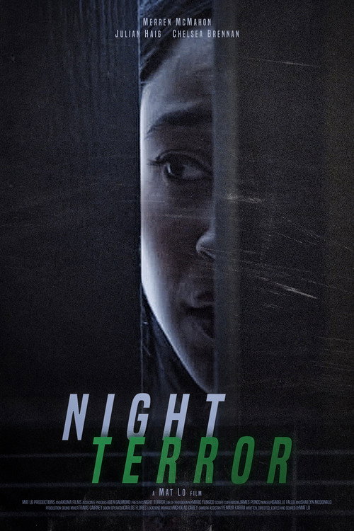 Movie poster for Night Terror (2017)