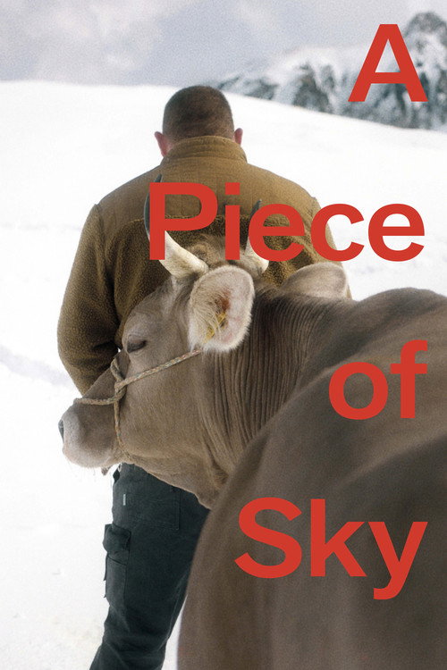 Movie poster for A Piece of Sky (2022)