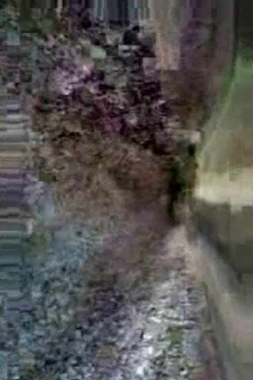 Preserving Cultural Traditions in a Period of Instability poster