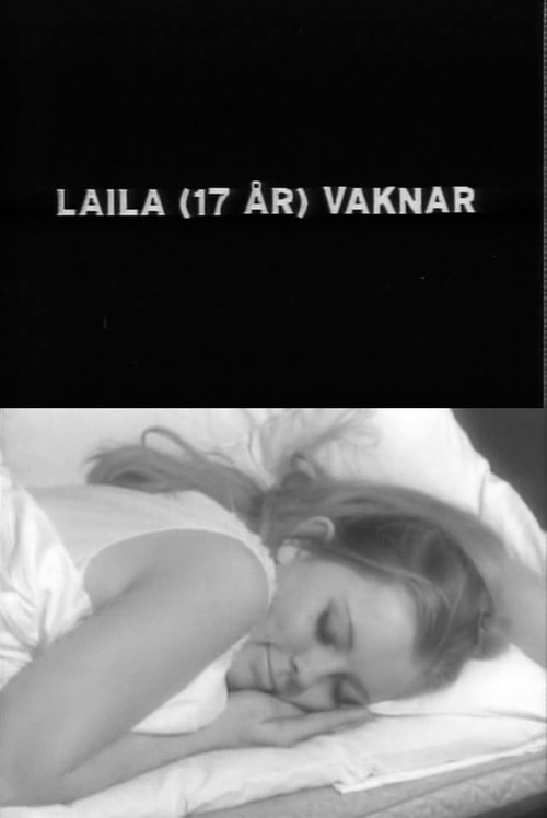 Movie poster for Laila Wakes Up (1969)