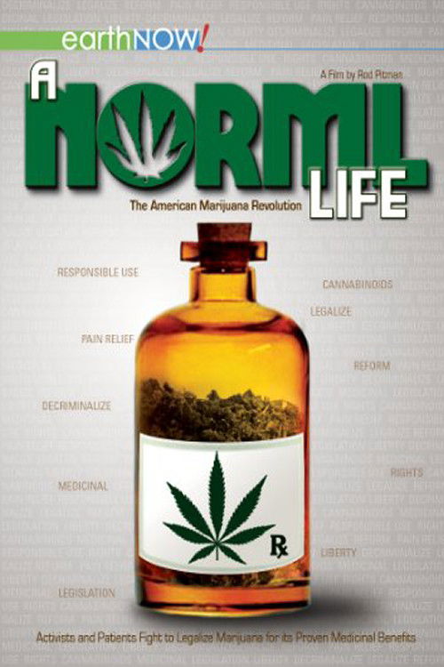 Movie poster for A Norml Life (2011)