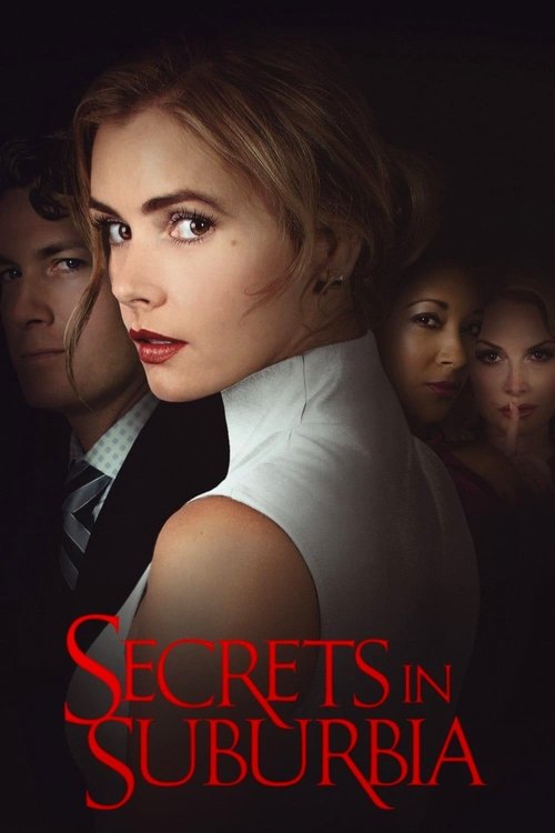 Movie poster for Secrets in Suburbia (2017)