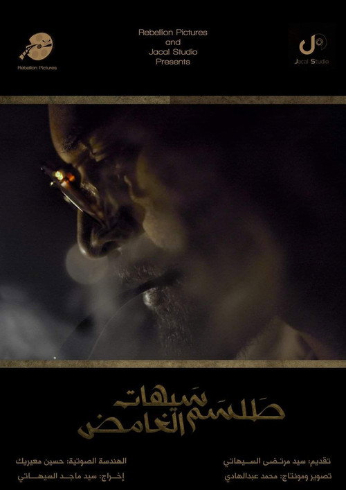 Movie poster for Saihat's Mysterious Talisman (2017)