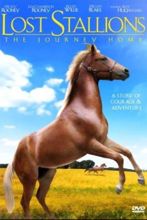 Movie poster for Lost Stallions: The Journey Home (2008)