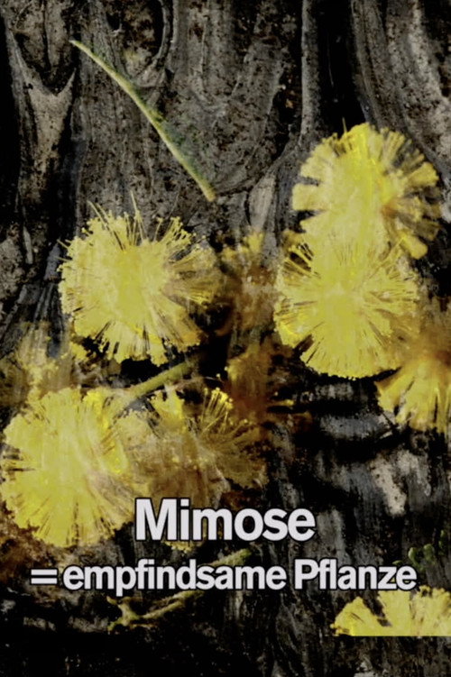 Movie poster for Mimosa Tank: A Prologue for a Film (2017)