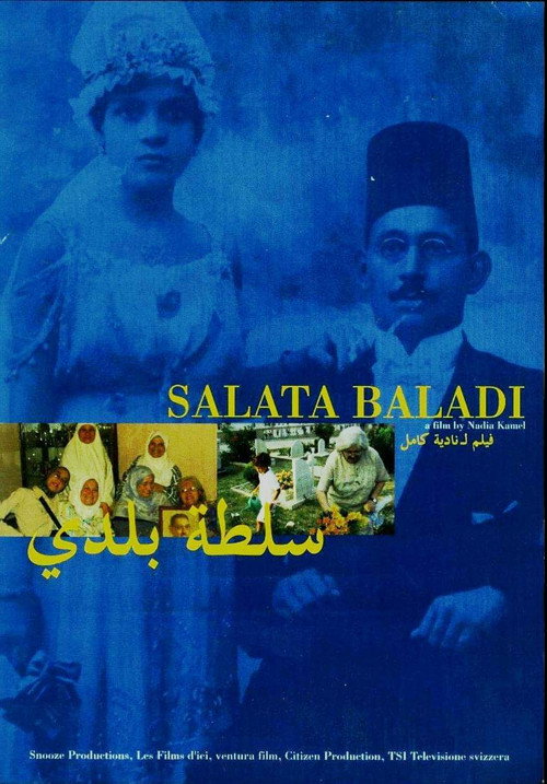 Movie poster for An Egyptian Salad (2007)