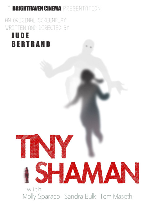 Movie poster for Tiny Shaman