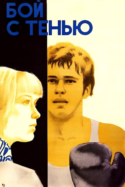 Movie poster for Shadow Fight (1973)
