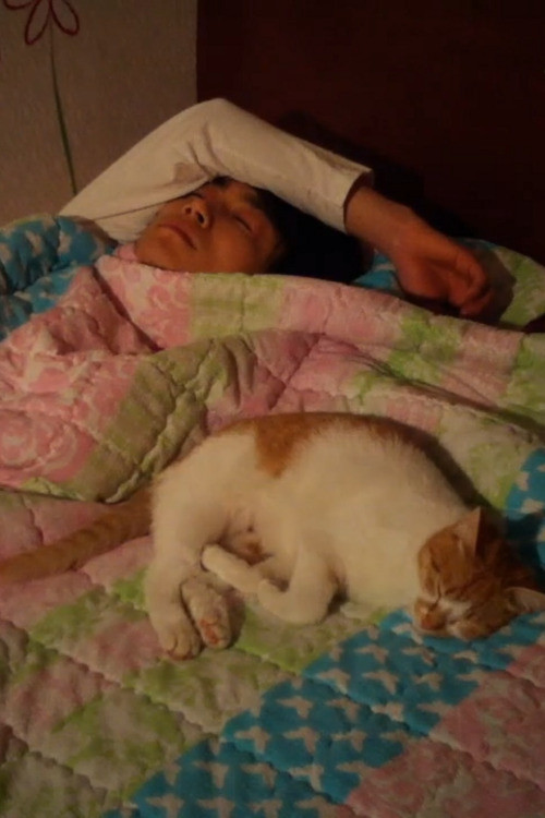 Movie poster for Stray Cats (2011)