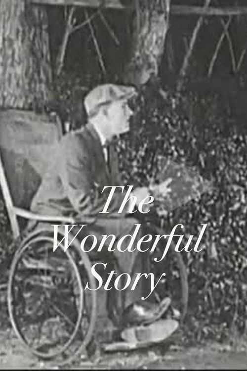 The Wonderful Story poster