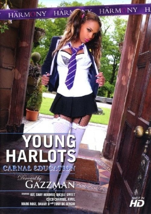 Movie poster for Young Harlots: Carnal Education (2011)