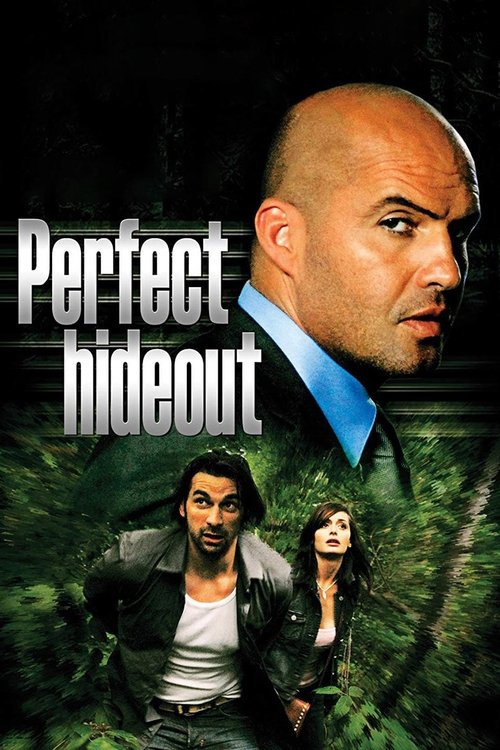 Movie poster for Perfect Hideout (2008)