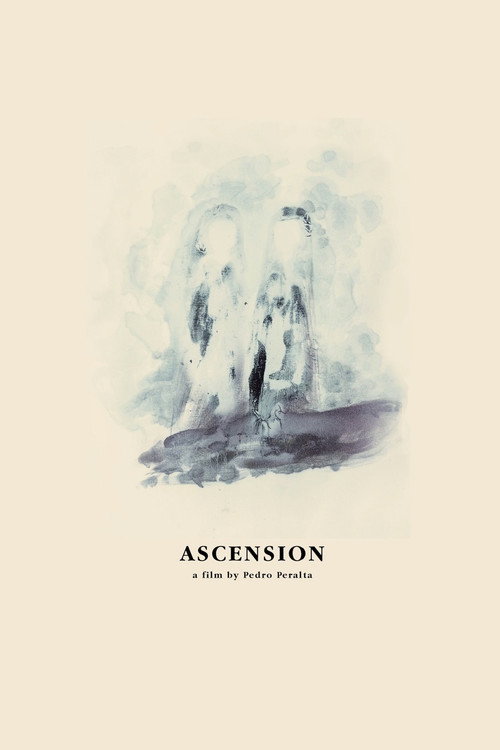 Movie poster for Ascension (2016)