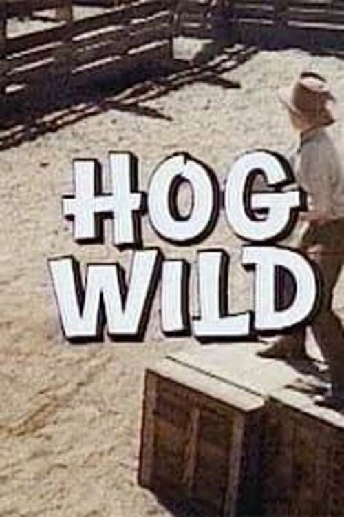 Movie poster for Hog Wild (1974)