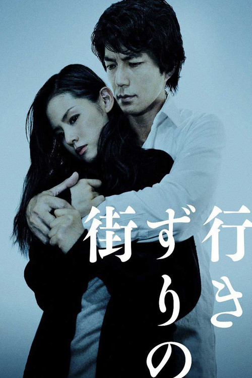 Movie poster for Strangers in the City (2010)