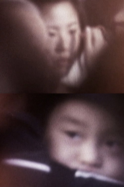 Movie poster for CRAZY DIARY (2013)