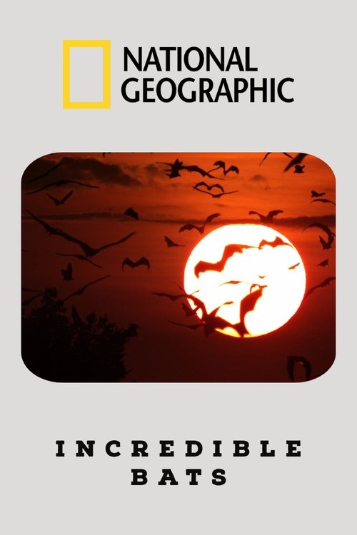 Movie poster for Incredible Bats (2019)