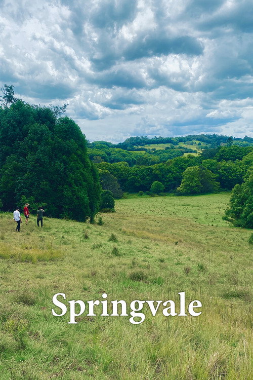 Movie poster for Springvale