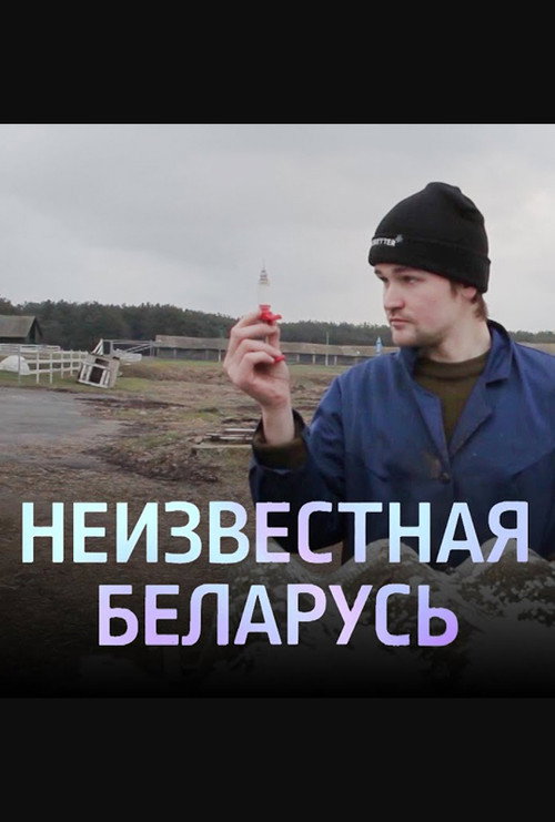Movie poster for Unknown Belarus. Assignment (2020)
