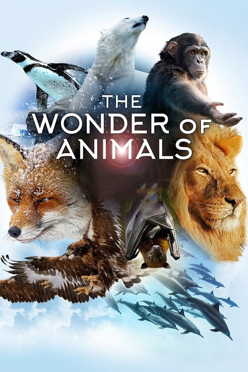 Series poster for The Wonder of Animals (2014)