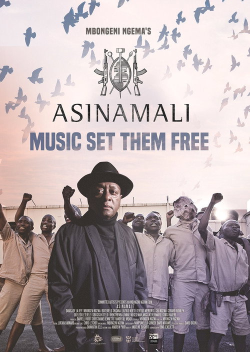 Movie poster for Asinamali (2017)