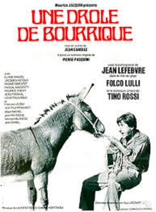 Movie poster for The Donkey of Zigliara (1971)