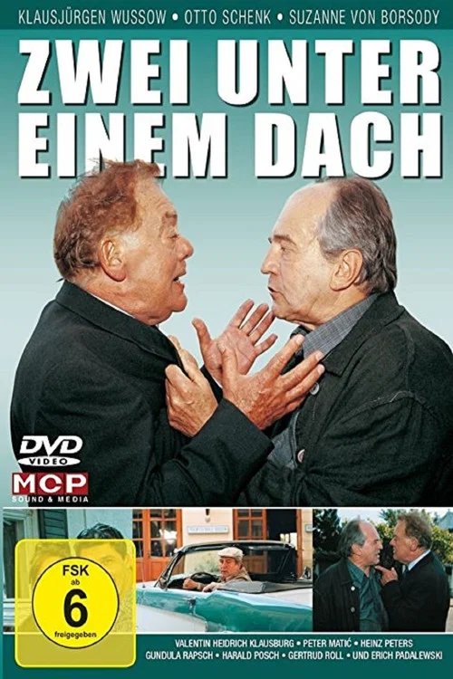 Movie poster for Zwei unter einem Dach (2001)