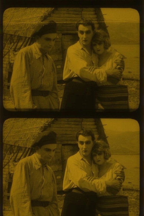 Movie poster for Strandgut (1924)