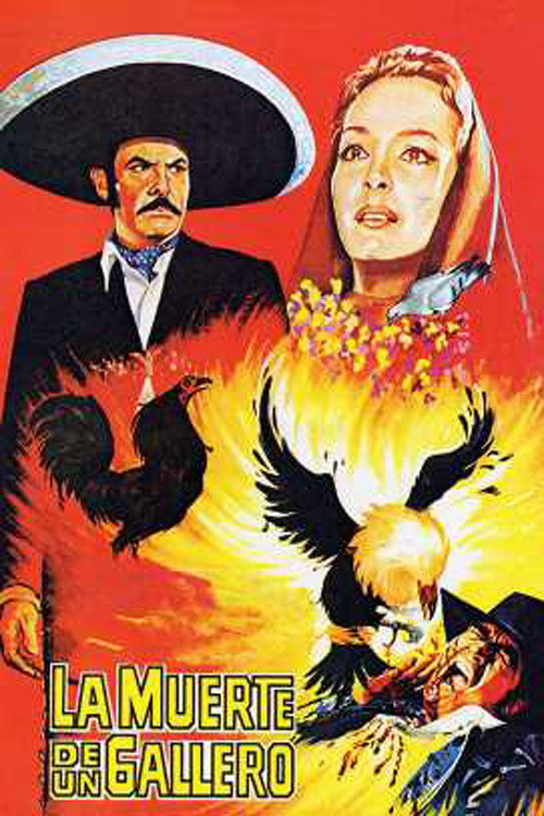 Movie poster for La muerte de un gallero (1977)