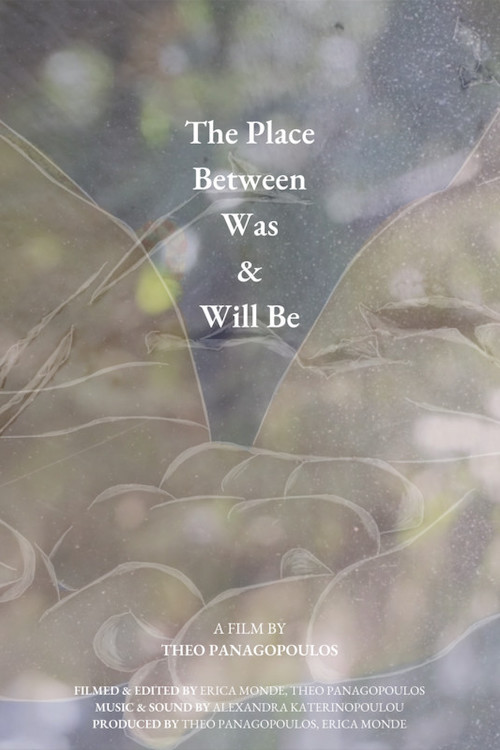 Movie poster for The Place Between Was & Will Be (2022)