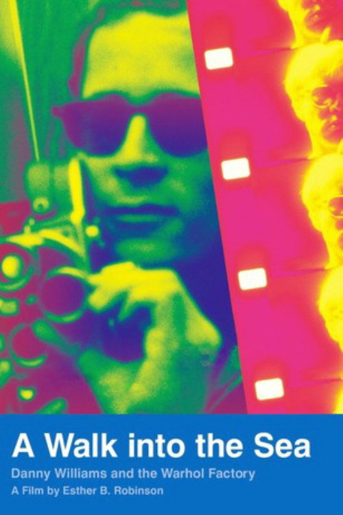 Movie poster for A Walk Into the Sea: Danny Williams and the Warhol Factory (2007)