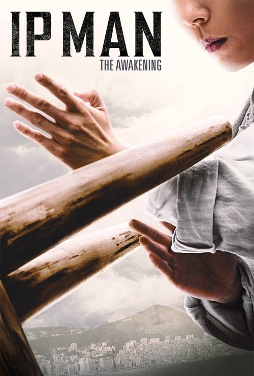Movie poster for Ip Man: The Awakening (2021)