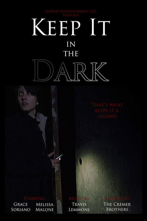 Movie poster for Keep It in the Dark (2017)