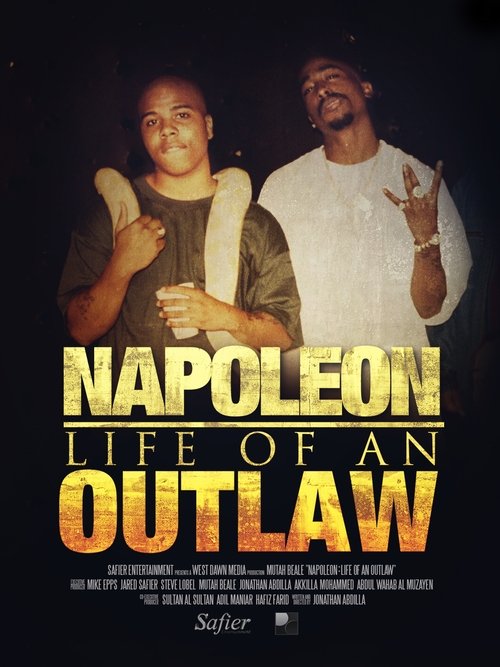 Movie poster for Napoleon: Life of an Outlaw (2019)