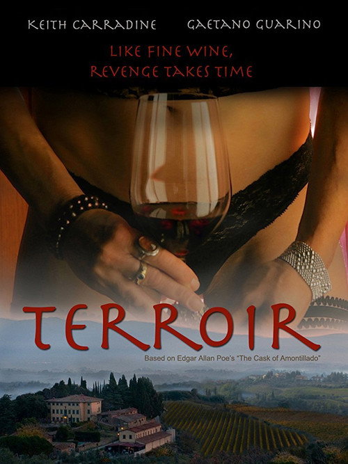 Movie poster for Terroir (2014)