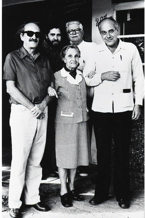 Movie poster for Paulo Emílio S. Gomes - Ganga Bruta (1976)