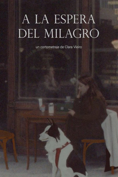 Movie poster for A la espera del milagro (2021)