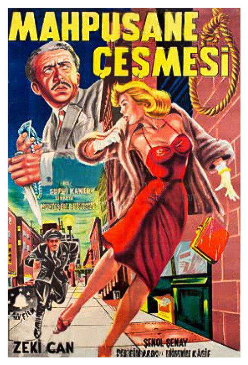 Movie poster for Mahpushane Çeşmesi (1964)