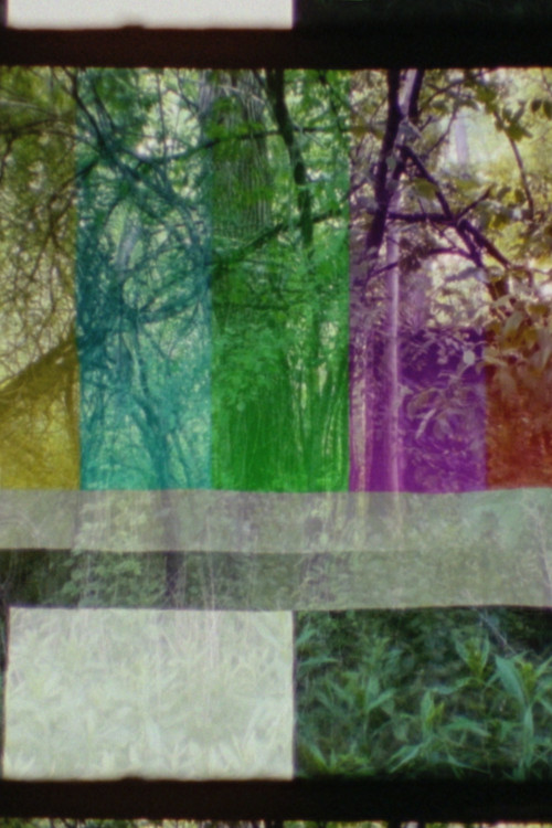 Movie poster for SMPTE FOREST (2023)